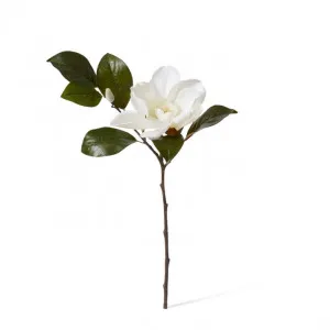 Magnolia Flower Spray - 31 x 23 x 81cm by null, a Plants for sale on Style Sourcebook