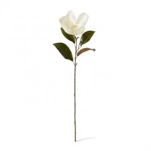 Magnolia Flower Stem - 20 x 14 x 74cm by null, a Plants for sale on Style Sourcebook