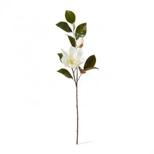 Magnolia Flower with Bud Spray - 37 x 26 x 102cm by null, a Plants for sale on Style Sourcebook