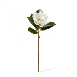 Magnolia Grand Flower Stem - 28 x 28 x 66cm by null, a Plants for sale on Style Sourcebook