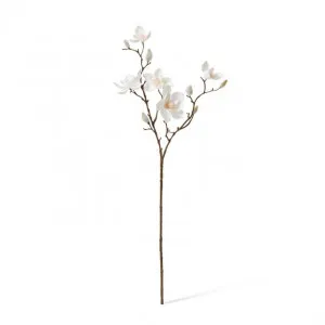 Magnolia Mini Spray - 26 x 26 x 66cm by null, a Plants for sale on Style Sourcebook