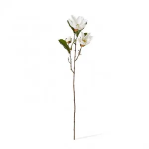 Magnolia River Spray - 25 x 15 x 69cm by null, a Plants for sale on Style Sourcebook