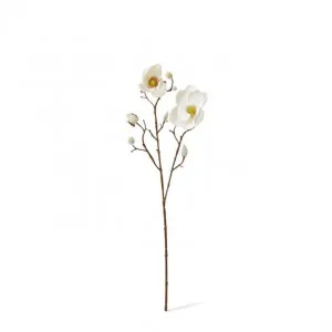 Magnolia Spray - 18 x 8 x 53cm by null, a Plants for sale on Style Sourcebook