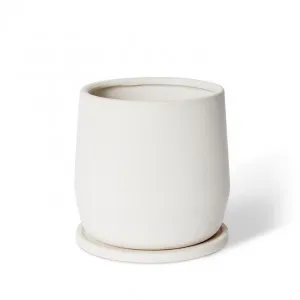 Mason Pot w. Saucer - 22 x 22 x 22cm by null, a Plant Holders for sale on Style Sourcebook