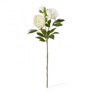 Peony Classic Spray - 27 x 24 x 75cm by null, a Plants for sale on Style Sourcebook