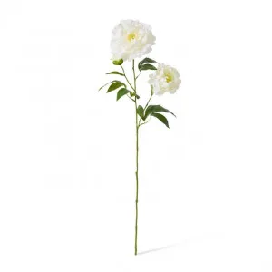 Peony Lillian Spray - 20 x 20 x 74 cm by null, a Plants for sale on Style Sourcebook