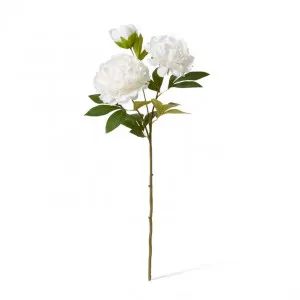 Peony Queen Spray - 30 x 20 x 76cm by null, a Plants for sale on Style Sourcebook