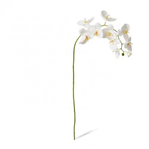 Phalaenopsis Lush Stem - 35 x 15 x 97cm by null, a Plants for sale on Style Sourcebook