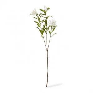 Protea Orientale Spray - 42 x 16 x 99cm by null, a Plants for sale on Style Sourcebook