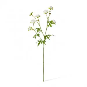 Ranunculus Spray - 20 x 12 x 56cm by null, a Plants for sale on Style Sourcebook