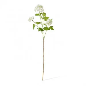 Snowball Spray - 17 x 7 x 77cm by null, a Plants for sale on Style Sourcebook