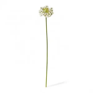 Star Flower Stem - 13 x 7 x 76cm by null, a Plants for sale on Style Sourcebook