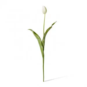 Tulip Stem - 9 x 3 x 74cm by null, a Plants for sale on Style Sourcebook