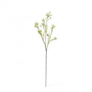 Wax  Flower Spray - 18 x 15 x 68cm by null, a Plants for sale on Style Sourcebook