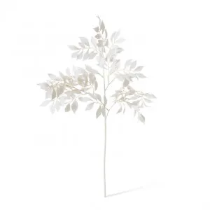 Willow Leaf Spray - 35 x 33 x 78cm by null, a Plants for sale on Style Sourcebook