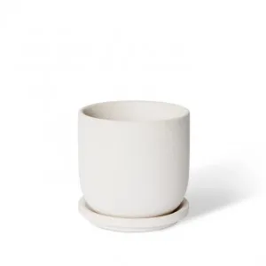Allegra Pot w. Saucer - 12 x 12 x 12cm by null, a Plant Holders for sale on Style Sourcebook
