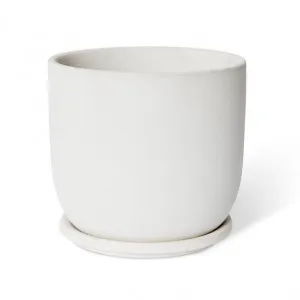 Allegra Pot w. Saucer - 19 x 19 x 18cm by null, a Plant Holders for sale on Style Sourcebook