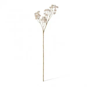 Aralia Deco Seed Spray - 13 x 11 x 84cm by null, a Plants for sale on Style Sourcebook