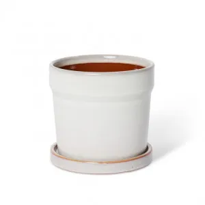 Austin Pot w. Saucer - 16 x 16 x 15cm by null, a Plant Holders for sale on Style Sourcebook