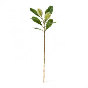 Banksia Spray - 14 x 5 x 76cm by null, a Plants for sale on Style Sourcebook