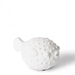 Blow Fish Sculpture - 13 x 9 x 8cm by null, a Statues & Ornaments for sale on Style Sourcebook