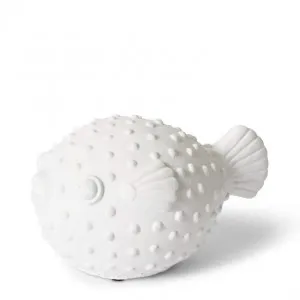 Blow Fish Sculpture - 18 x 12 x 10cm by null, a Statues & Ornaments for sale on Style Sourcebook