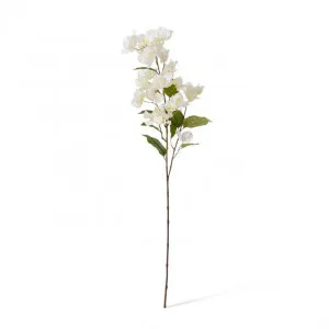 Bougainvillea Spray - 18 x 9 x 86cm by null, a Plants for sale on Style Sourcebook