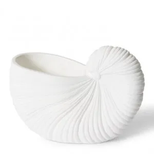 Conch Shell Pot - 26 x 13 x 19cm by null, a Plant Holders for sale on Style Sourcebook
