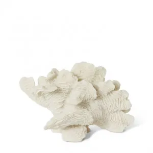 Coral Bubble Sculpture - 24 x 13 x 16cm by null, a Statues & Ornaments for sale on Style Sourcebook