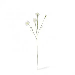 Corn Flower Spray - 8 x 3 x 61cm by null, a Plants for sale on Style Sourcebook