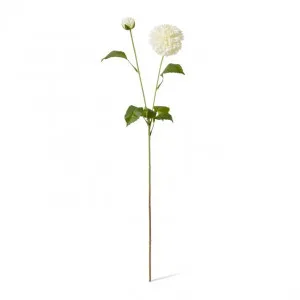 Dahlia Pom Pom Spray - 15 x 15 x 72cm by null, a Plants for sale on Style Sourcebook