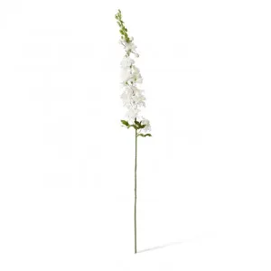 Delphinium Stem - 15 x 7 x 99cm by null, a Plants for sale on Style Sourcebook