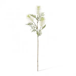 Grevillea Spray - 21 x 9 x 84cm by null, a Plants for sale on Style Sourcebook