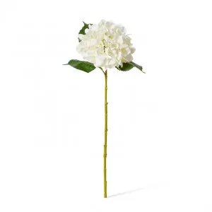 Hydrangea Classic Small Stem - 23 x 21 x 61cm by null, a Plants for sale on Style Sourcebook