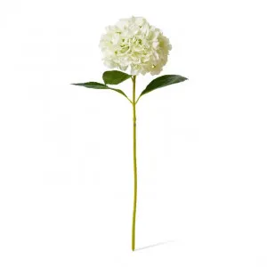 Hydrangea Grand Stem - 25 x 25 x 69cm by null, a Plants for sale on Style Sourcebook