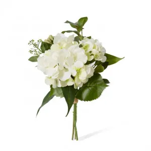 Hydrangea Sadie Bouquet - 20 x 20 x 30cm by null, a Plants for sale on Style Sourcebook
