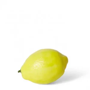 Lemon - 7 x 7 x 10cm by null, a Plants for sale on Style Sourcebook
