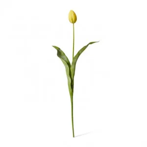 Tulip Stem - 9 x 3 x 74cm by null, a Plants for sale on Style Sourcebook