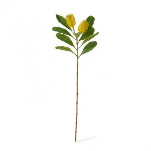 Banksia Spray - 14 x 5 x 76cm by null, a Plants for sale on Style Sourcebook
