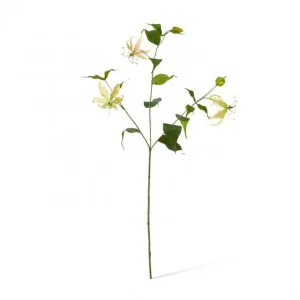 Gloriosa Spray - 19 x 6 x 90cm by null, a Plants for sale on Style Sourcebook