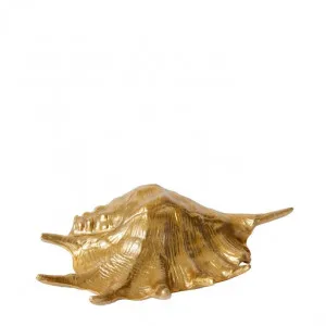 Murex Shell Sculpture - 33cm x 19cm by null, a Decor for sale on Style Sourcebook
