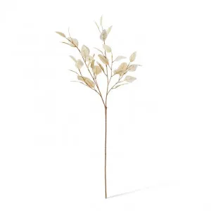 Eucalyptus Decor Beige Spray - 40cm x 30cm x 96cm by null, a Plants for sale on Style Sourcebook