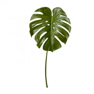 Monstera Leaf Green - 60cm by null, a Plants for sale on Style Sourcebook