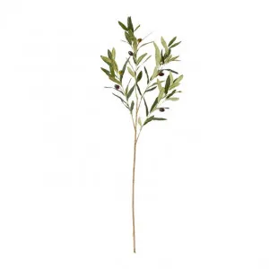 Olive Spray Grey Green - 97cm by null, a Plants for sale on Style Sourcebook