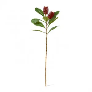 Banksia Spray Red - 76cm by null, a Plants for sale on Style Sourcebook