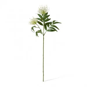 Grevillea Spray White - 74cm by null, a Plants for sale on Style Sourcebook