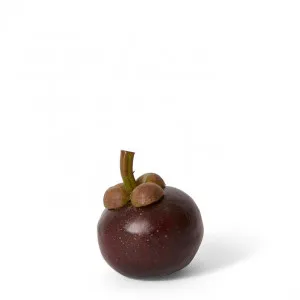 Mangosteen - 7 x 7 x 8cm by null, a Plants for sale on Style Sourcebook