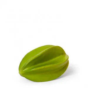 Star Fruit - 14 x 9 x 9cm by null, a Plants for sale on Style Sourcebook