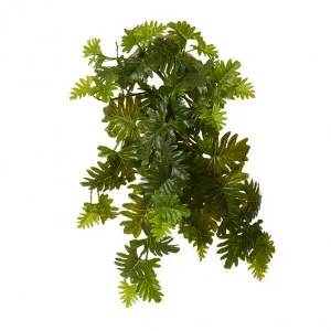 Monstera Hanging Plant - 30 x 30 x 56cm by null, a Plants for sale on Style Sourcebook