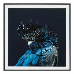 Australian Cockatoo Framed Print in 113 x 113cm by OZ Design, a Prints for sale on Style Sourcebook